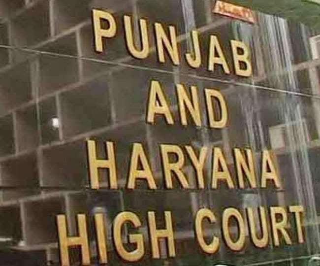 पंजाब एवं हरियाणा हाई कोर्ट की फाइल फोटो।