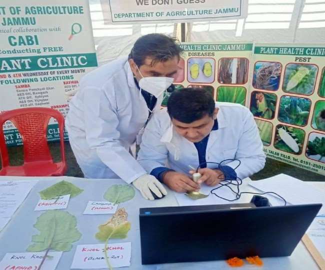 Plant Health Clinics In Jammu पांच जिलों में 14 और खुले प्लांट हेल्थ