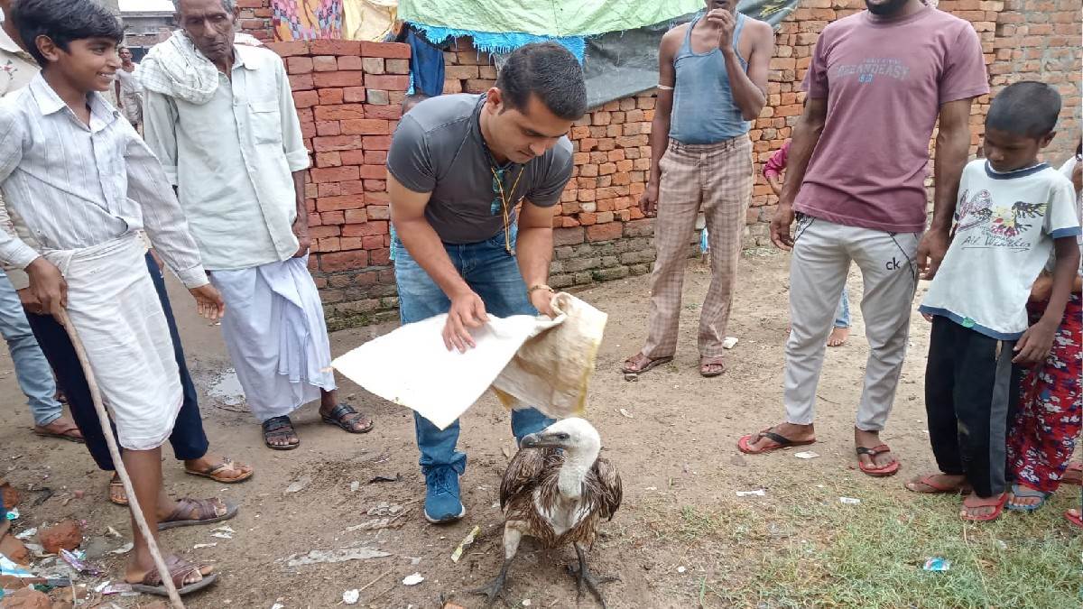 after years the vulture appeared in badaun was taken away by the team of the forest department