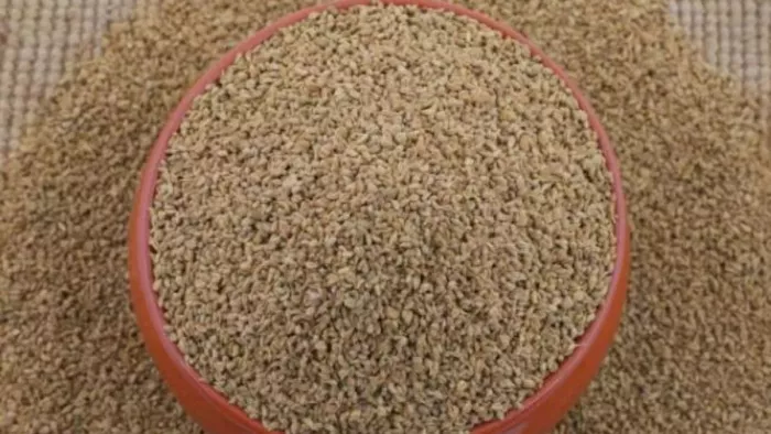 Ajwain Benefits: अजवाइन खाने के ये हैं फायदे