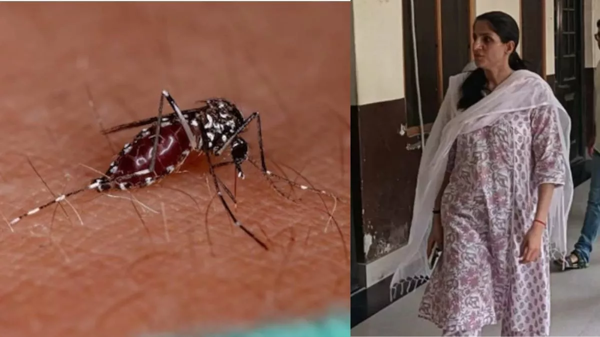 देहरादून में डेंगू की रोकथाम को लेकर प्रशासन का महाअभियान, 33 अफसरों को सौंपी गई जिम्मेदारी; देनी होगी दैनिक रिपोर्ट
