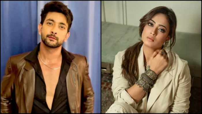 फहमान खान ने श्वेता तिवारी संग डेटिंग रूमर्स पर किया रिएक्ट। फोटो क्रेडिट- इंस्टाग्राम
