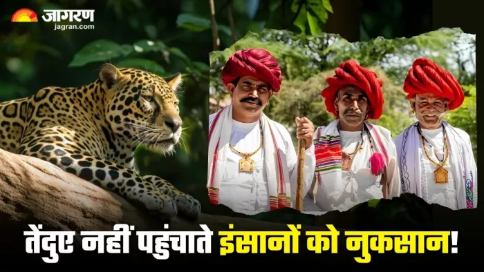राजस्थान के इस गांव में साथ-साथ रहते हैं इंसान और तेंदुए (Image Source: Freepik)