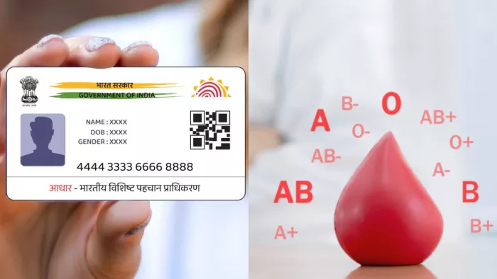 आधार कार्ड में ब्लड ग्रुप शामिल करने की उठी मांग। फाइल फोटो