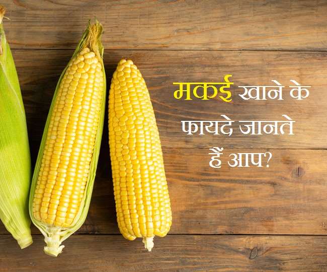 Corn Health Benefits कई तरह की बीमारियों से महफूज़ रखता है मक्का