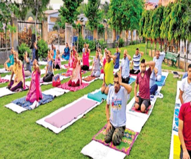 reduce obesity with yoga in five days patanjali camp at panipat know how to stay fit