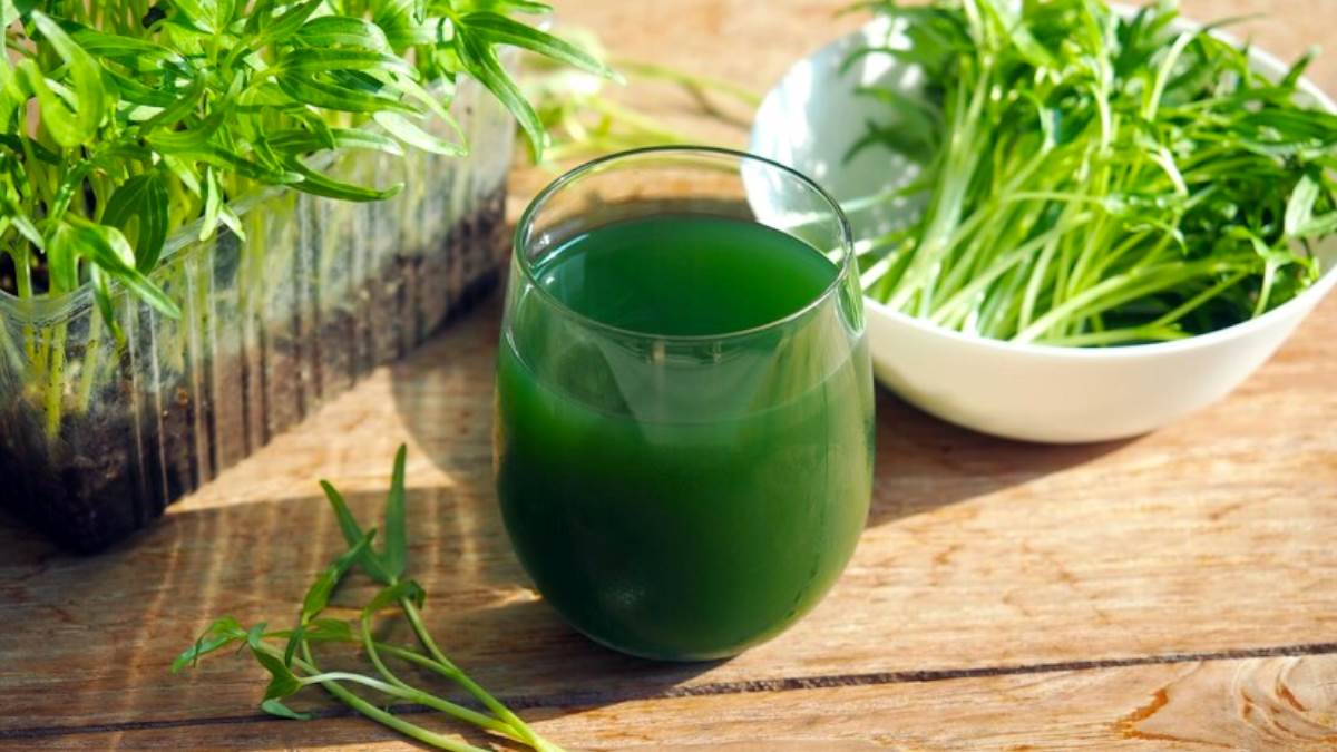 detox drinks after festival consume these drinks to detox the body there will be many more benefits