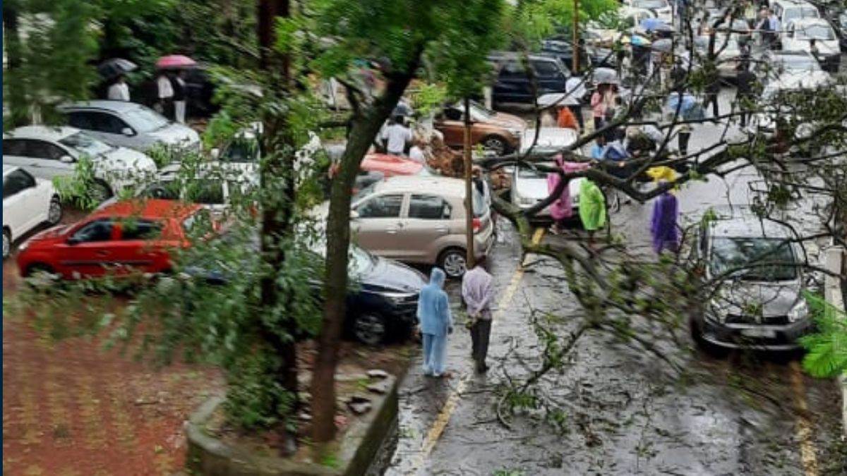 Jharkhand Weather News: रांची सिविल कोर्ट परिसर में गिरे कई पेड़, वाहन क्षतिग्रस्त।