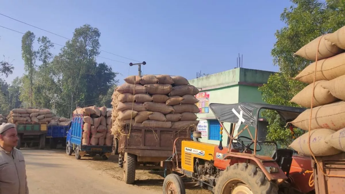 Jharkhand PACS गिरिडीह में बिचौलियों की नहीं गलती दाल, 800 किसान पैक्स