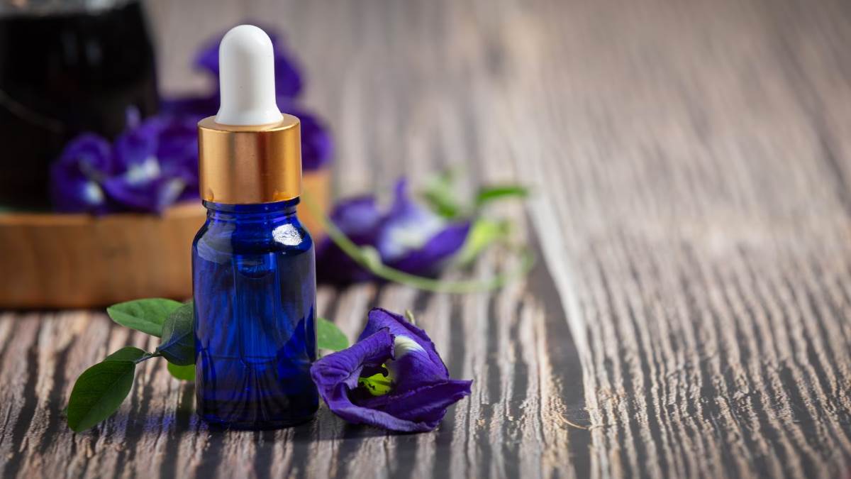 https://www.jagranimages.com/images/newimg/20082023/20_08_2023-home_remedies_for_mosquito_f_23506659.jpg