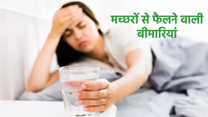 World Mosquito Day 2023: मच्छरों से होने वाली बीमारियां