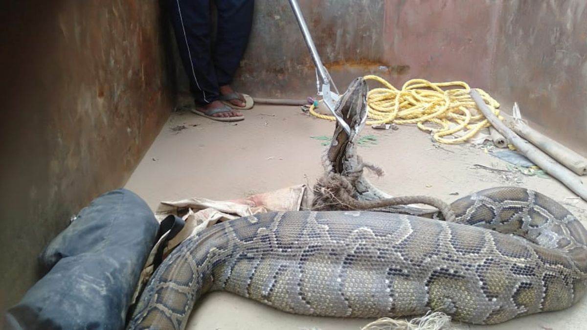 News Article Hero Image