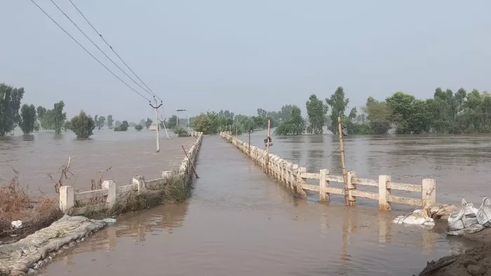 Fazilka Flood: 12 सरहदी गांवों को जोड़ने वाला पुल हुआ ओवरफ्लो, यातायात संपर्क टूटा; NDRF की टीमें पहुंची