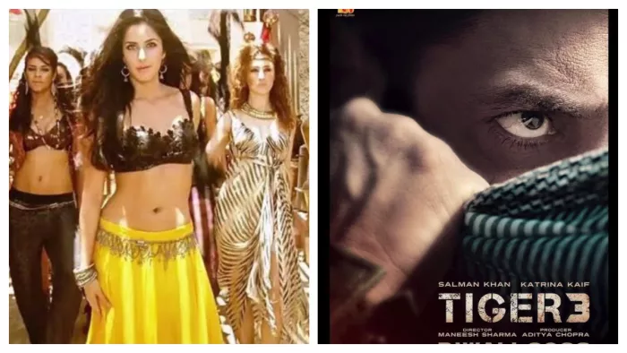 Still Image of Katrina Kaif from Tiger (Left) and File Photo of Salman Khan from Tiger 3