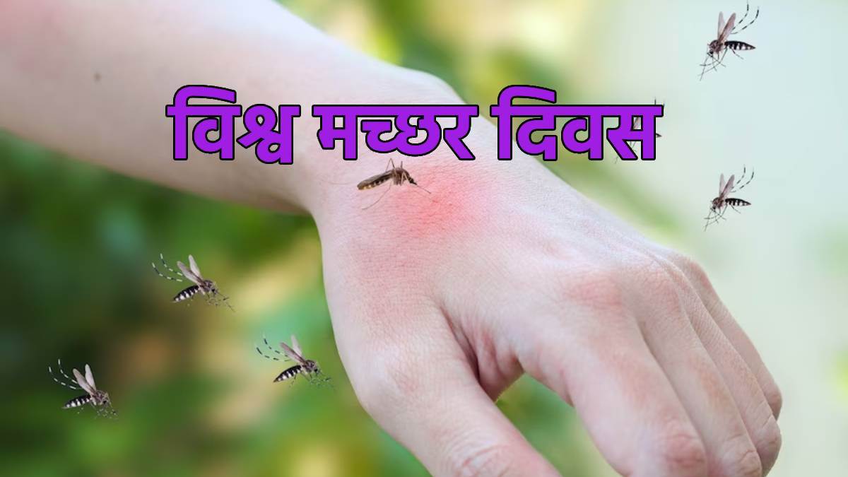 https://www.jagranimages.com/images/newimg/20082023/20_08_2023-world_mosquito_day_23506425.jpg