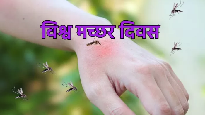 World Mosquito Day 2023: विश्व मच्छर दिवस इतिहास, महत्व व थीम