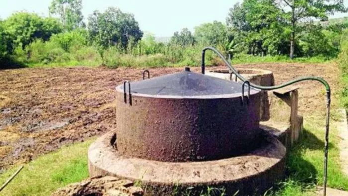 Bihar: स्कूलों में LPG का विकल्प बनेगी गोबर गैस, इससे बनेगा मध्याह्न भोजन; खरीदा जाएगा 1500 से 1700 किलो गोबर