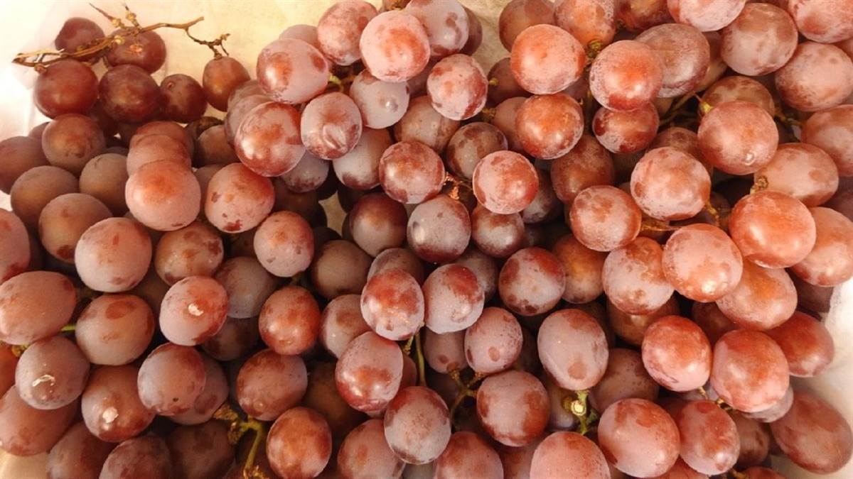 imported grapes market in gorakhpur price and availability