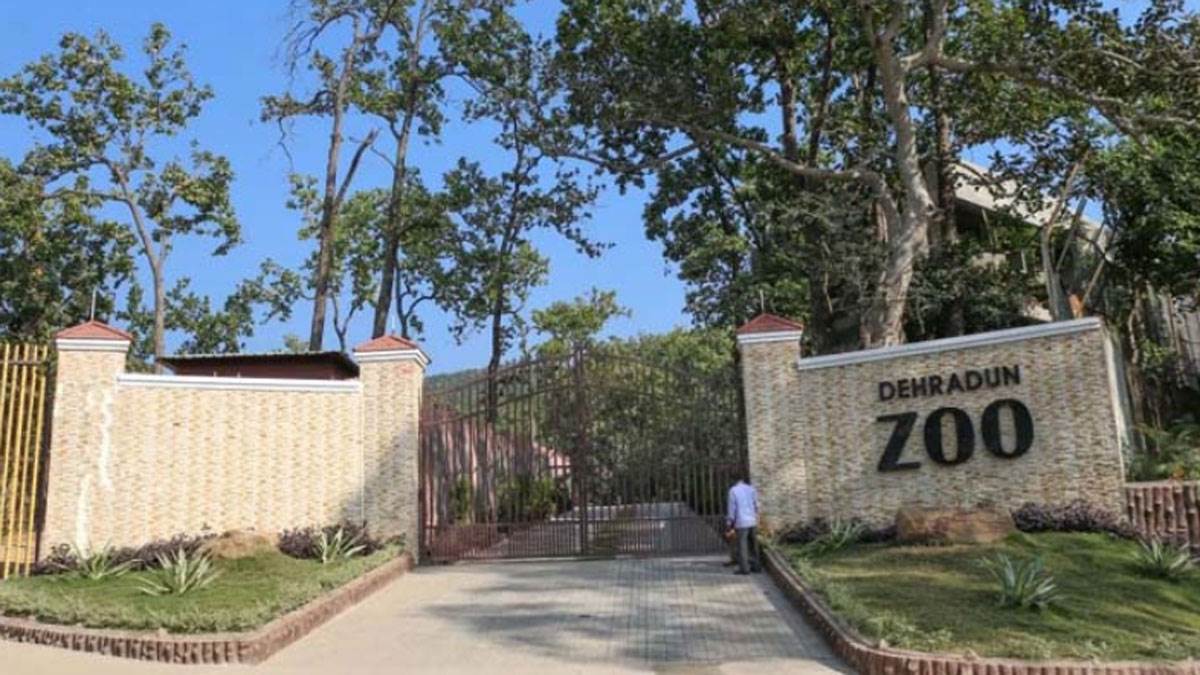 https://www.jagranimages.com/images/newimg/20082025/20_08_2025-dehradun-zoo_24019443.jpg