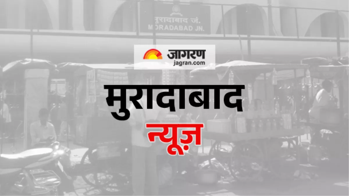 Moradabad News: कांठ के जंगलों में लगातार दिखाई दे रहे हैं तेंदुए, किसानों में दहशत