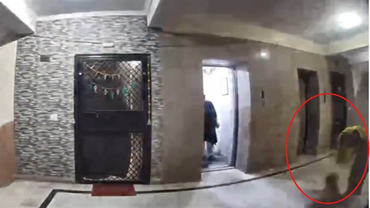 ncr dog attack in ghaziabad society maid injured residents demand action