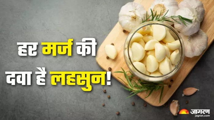 रोजाना लहसुन की एक कली खाने के चौंकाने वाले फायदे (Picture Credit- Freepik)