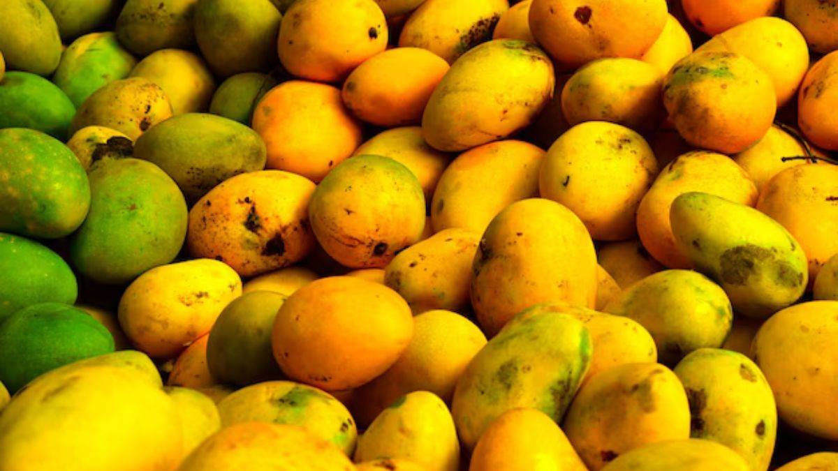 https://www.jagranimages.com/images/newimg/20082025/20_08_2025-mango_new_study_24018640.jpg