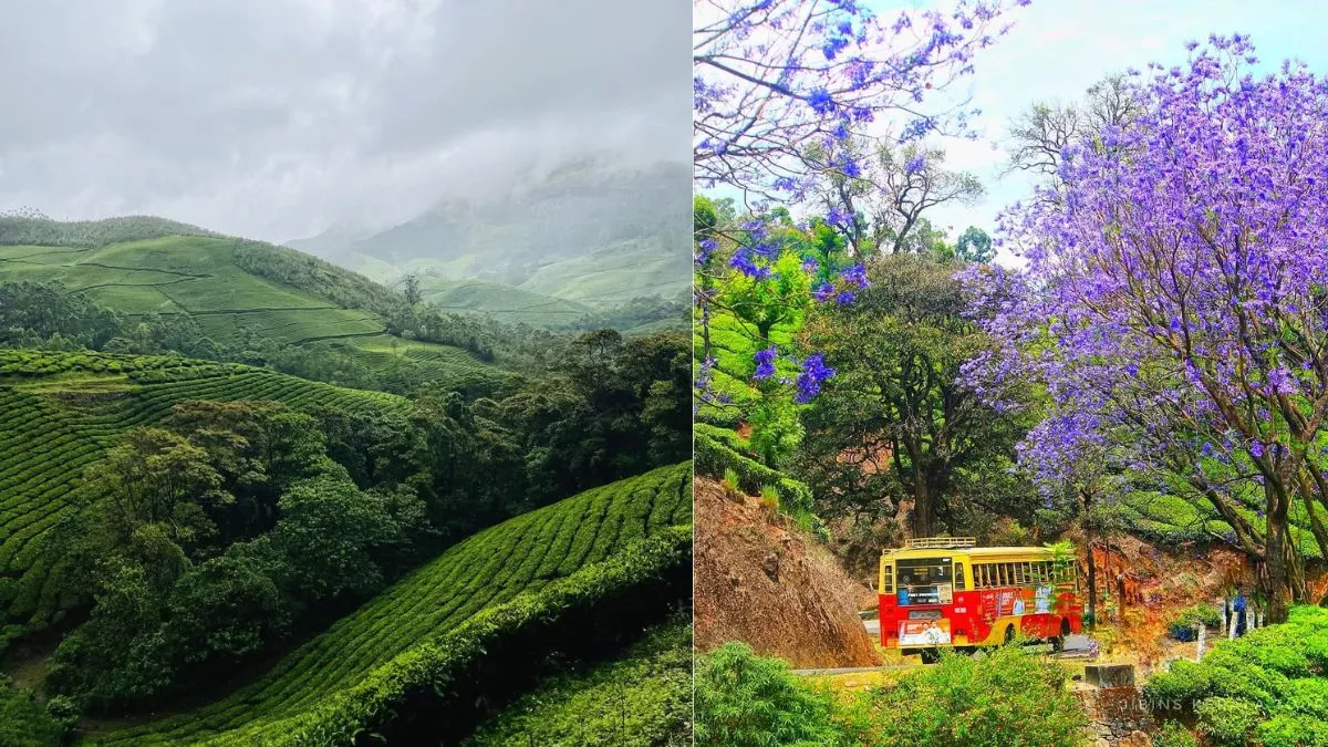 सितंबर में घूमने के लिए बेस्ट हैं साउथ इंडिया की ये 5 जगहें, इनकी खूबसूरती का नहीं है कोई मुकाबला