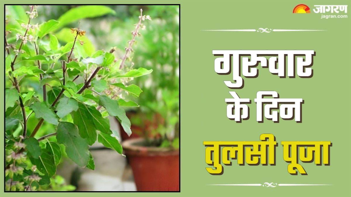 https://www.jagranimages.com/images/newimg/20082025/20_08_2025-tulsi_chalisa_2_24019388.jpg