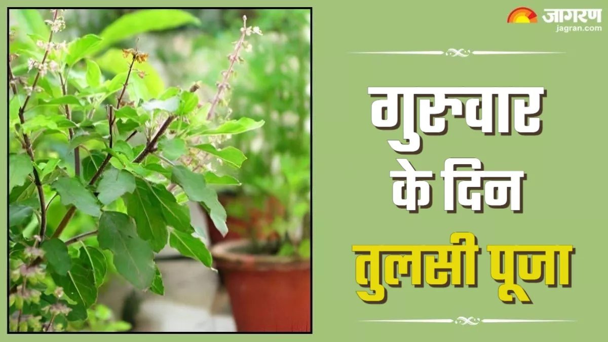 Guruwar Puja: गुरुवार के दिन जरूर करें इस चालीसा का पाठ, अन्न-धन से भरा रहेगा भंडार