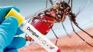 हरियाणा के कई शहरों में डेंगू का खतरा।