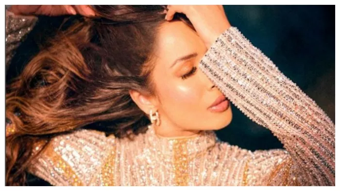 Malaika Arora Latest Photo in Brown Shimmery Gown