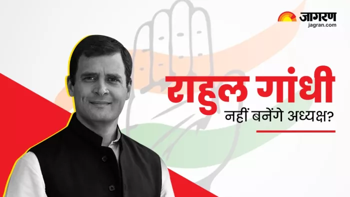 Congress President: राहुल गांधी नहीं लड़ेंगे अध्यक्ष पद का चुनाव!