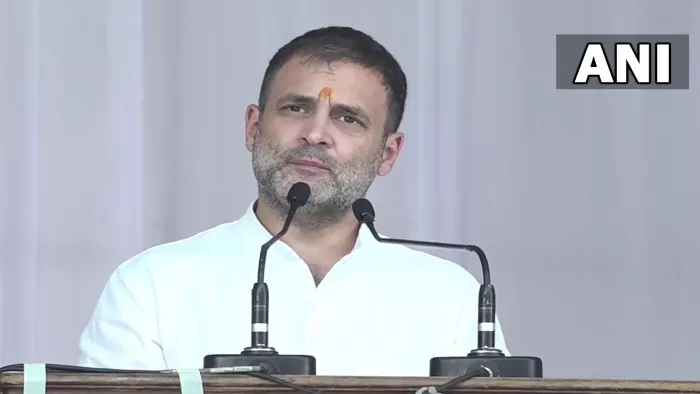 राहुल गांधी के चुनाव न लड़ने पर कांग्रेस उठा सकती बड़ा कदम।