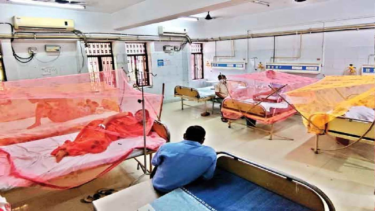 सावधान, Dengue-Malaria का सीजन शुरू, इन सात बातों का ध्यान रखकर कर सकते हैं बचाव