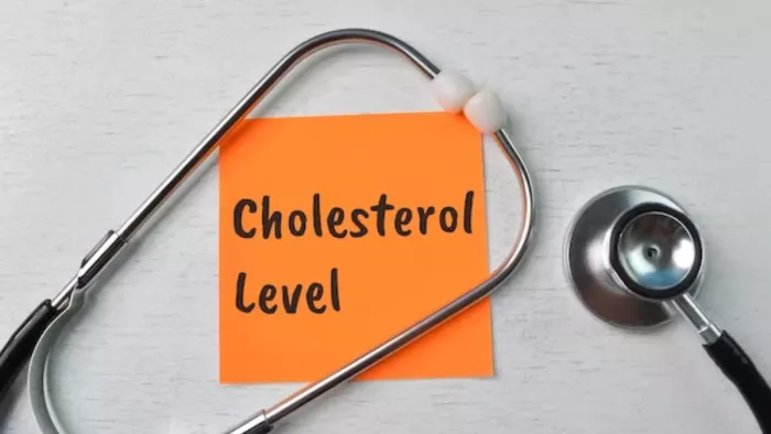 High Cholesterol: कोलेस्ट्रॉल की समस्या से हैं परेशान, तो अपनाएं ये उपाय
