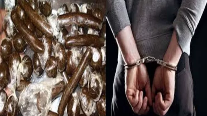 सोलन में पुलिस ने बुजुर्ग को नशे समेत गिरफ्तार किया है। प्रतीकात्मक फोटो