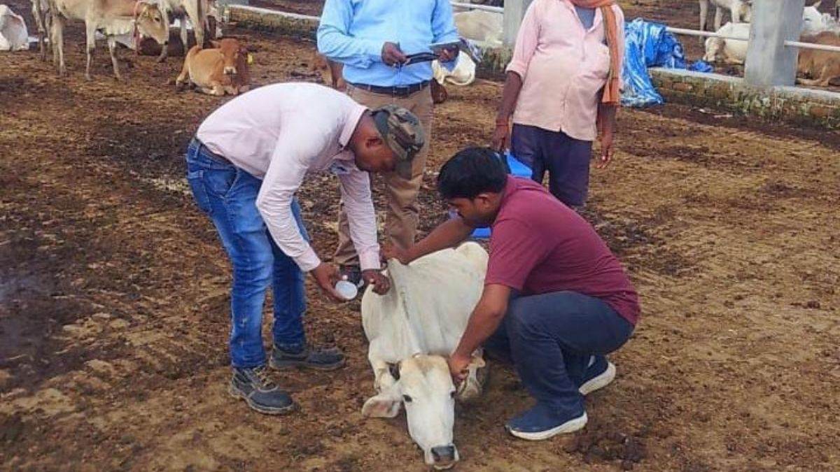 https://www.jagranimages.com/images/newimg/20092025/20_09_2025-barabanki_news_24053885.jpg