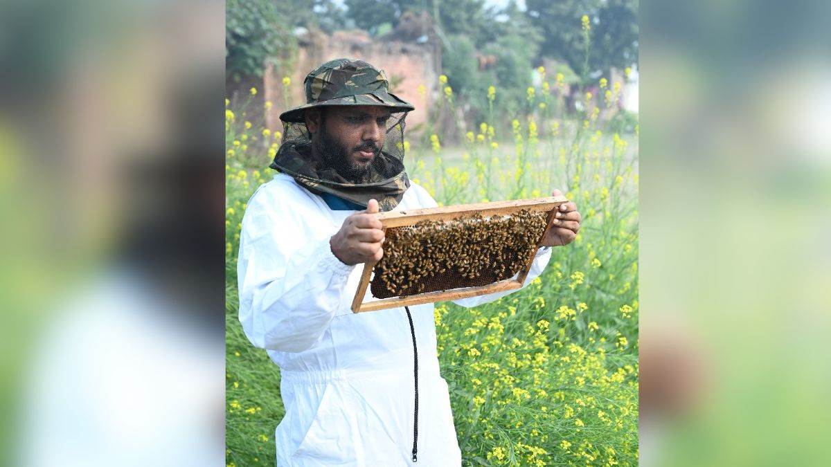 https://www.jagranimages.com/images/newimg/20092025/20_09_2025-bees_24054033.jpg