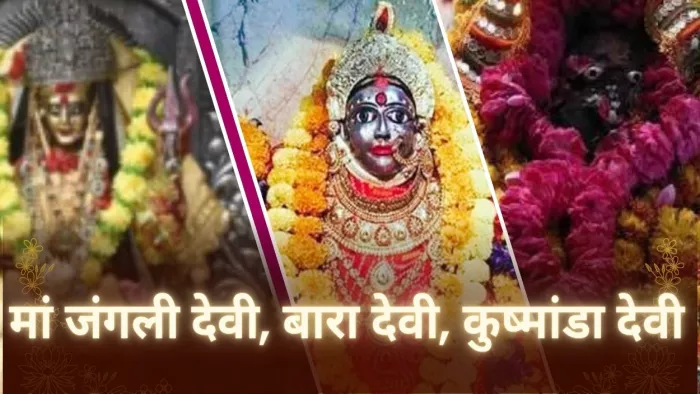 कानपुर की मां जंगली देवी, मां बारा देवी, मां कुष्मांडा देवी। जागरण