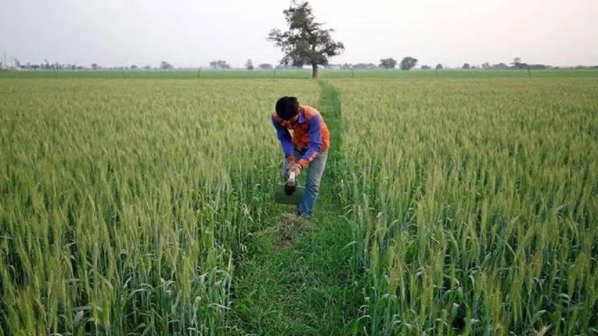 https://www.jagranimages.com/images/newimg/20092025/20_09_2025-rabi_fasal_season_farmers_24053783.jpg