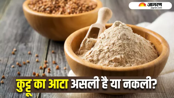 कुट्टू के आटे में मिलावट का 5 तरीकों से लगाएं पता (Image Source: Freepik)
