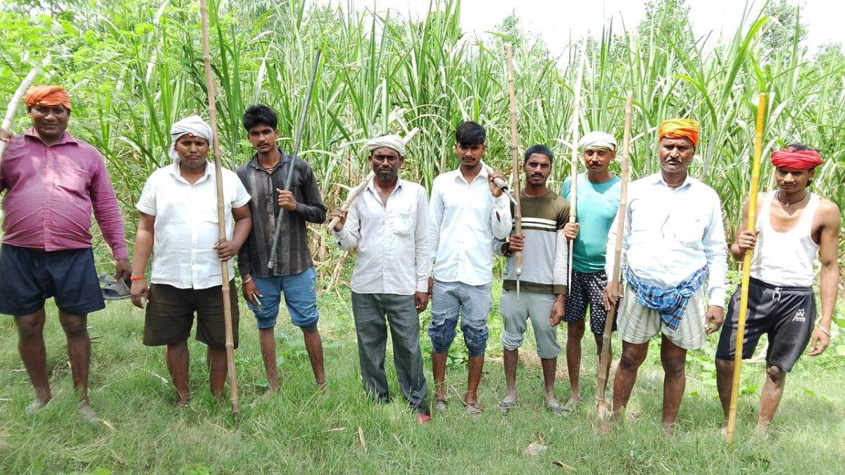 https://www.jagranimages.com/images/newimg/20092025/20_09_2025-wolf_attack_bahraich_24053900.jpg