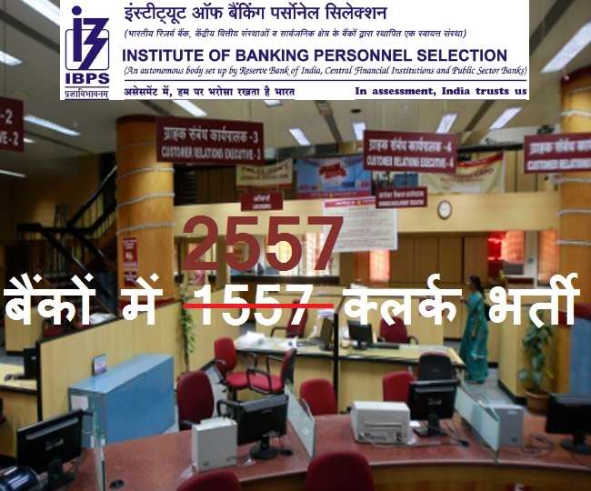 Ibps clerk 2020: क्लर्क परीक्षा के लिए फिर से आवेदन 23 अक्टूबर से 5 6 नंवबर 2020 तक योग्यता (स्नातक) उत्तीर्ण करने वाले उम्मीदवारों को भी आईबीपीएस ने मौका दिया है।