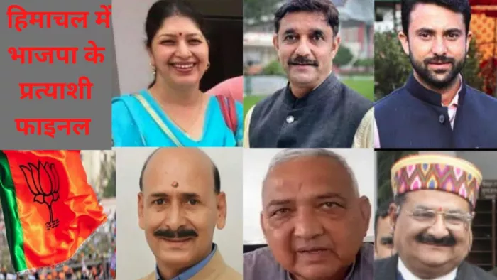 हिमाचल प्रदेश विधानसभा चुनाव के लिए भाजपा ने अपनी दूसरी लिस्ट जारी कर दी है।