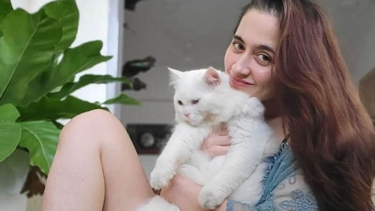 tv actress sanjeeda shaikh shares latest cute bold photos in transparent dress fans reaction goes viral on social media