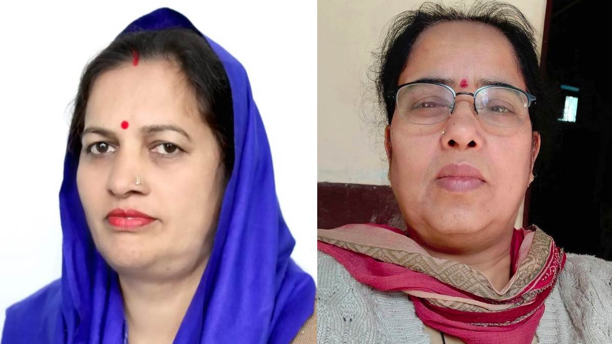 News Article Hero Image