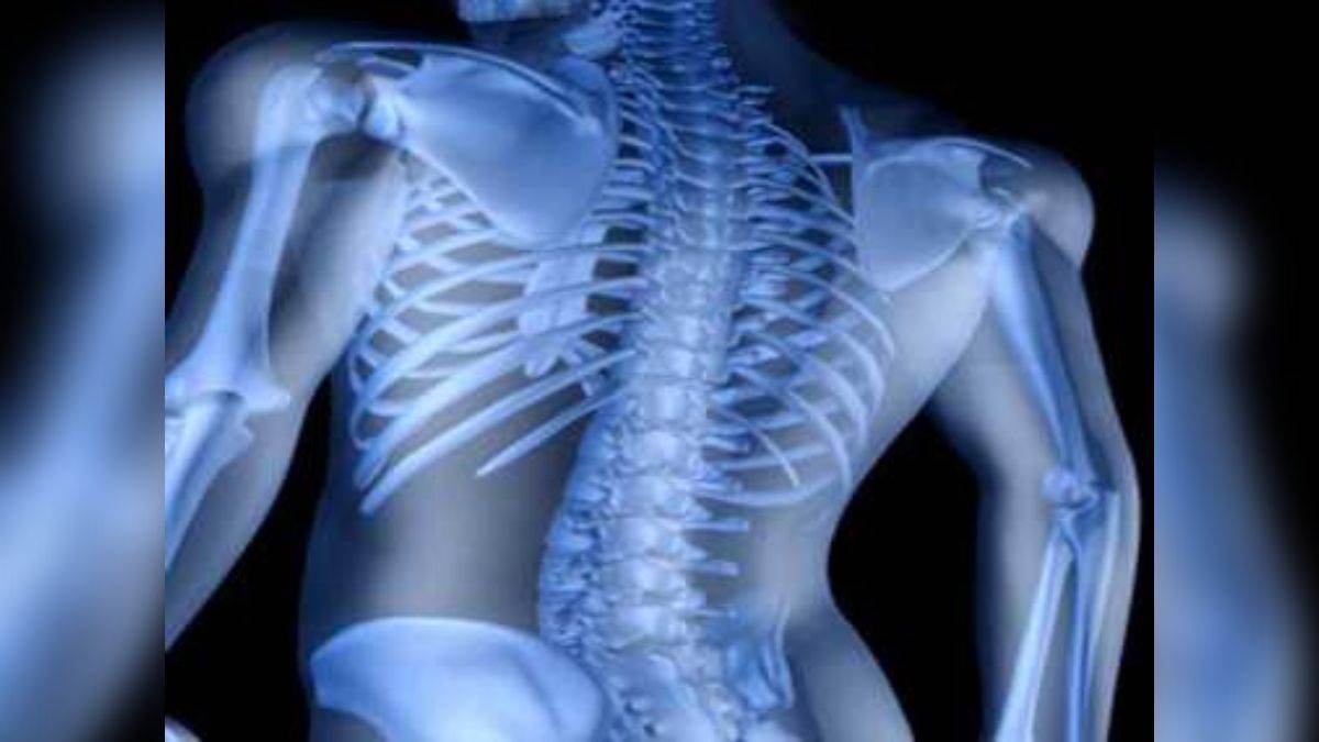 https://www.jagranimages.com/images/newimg/20102022/20_10_2022-world_osteoporosis_day_2022_23152083.jpg