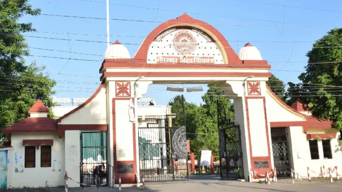 DDU में बीकाम, बीएससी करने वाले कर सकेंगे एमए। (फाइल)
