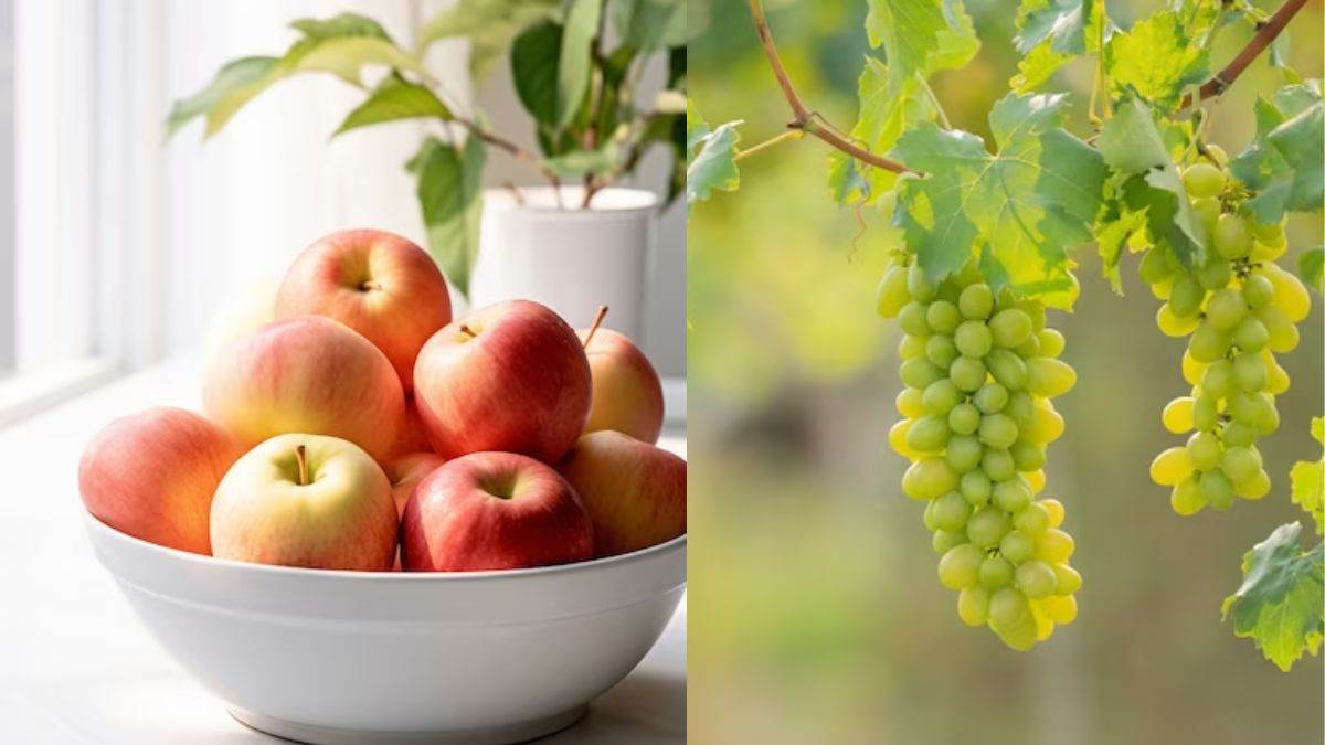 add these fruits in your winter diet know here amazing benefits